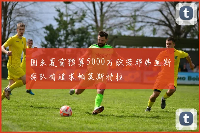 国米夏窗预算5000万欧若邓弗里斯离队将追求帕莱斯特拉