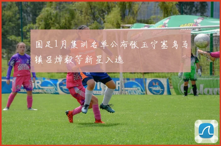 国足1月集训名单公布张玉宁塞鸟马镇吕焯毅等新星入选