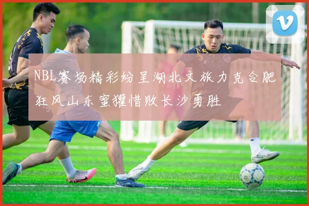 NBL赛场精彩纷呈湖北文旅力克合肥狂风山东蜜獾惜败长沙勇胜