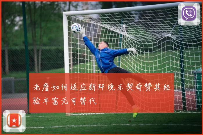老詹如何适应新环境东契奇赞其经验丰富无可替代